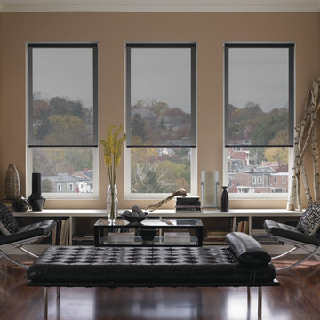 Roller Shades