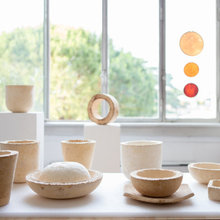 Why Insects, Fungus & Bacteria Could Be the Future of Design
