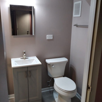 Mount Prospect Basement & Bathroom