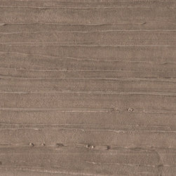 Silver Birch - Wallpaper
