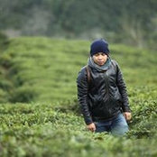 Foto von Nguyên Trung
