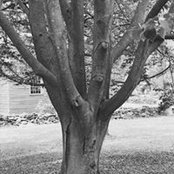 Karin Snyder's photo