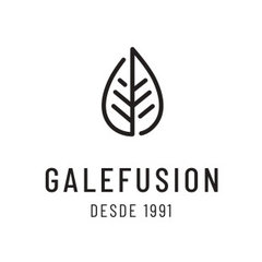 Galefusion - carpintería industrial