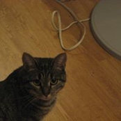 Brenda Withers's photo