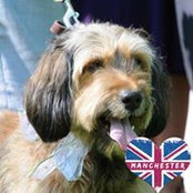 Kirsty Retallick's photo