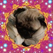 Kristi Hall's photo