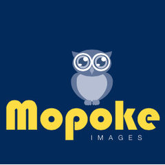 Mopoke images