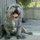 cari_weaver