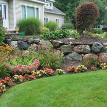 Landscape Ideas