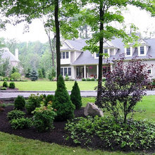 garden ideas
