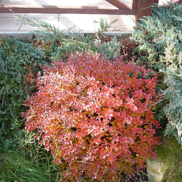 Landscaping-gardening,