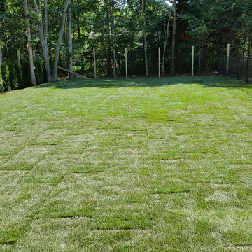 Backyard Makeover Installing Sod, Privacy Hedge, Flower Garden, Gravel Driveway