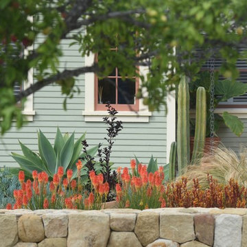 America's Best Front Yard