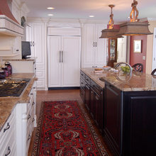 Charlotte Raised Dishwasher