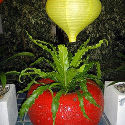 Container gardening - Products