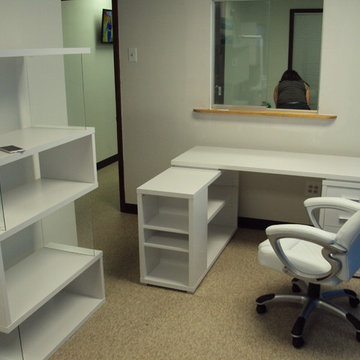 Eli Desk, Space Office Chair, & Snake Bookcase