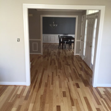 Our Work