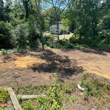 American Pride Tree Experts & Landscaping INC