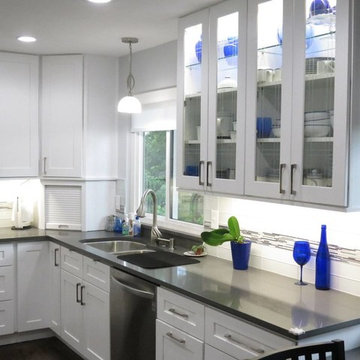 South Spruce Court Small Kitchen