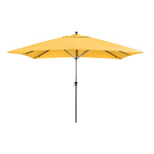 Pool Umbrellas