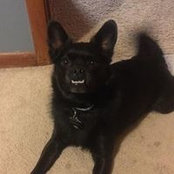 Patrick Hewson's photo