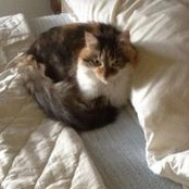 Robin Thomas's photo
