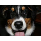 Brenda Thomas's photo