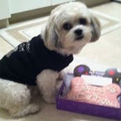 Dottie Mccarthy's photo