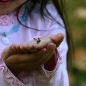 Donna Vissman's photo