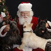 Dana Kadel's photo