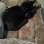 Misty Workman's photo