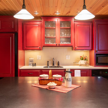 Modern Log Cabin Basement Remodel in Ann Arbor, Michigan