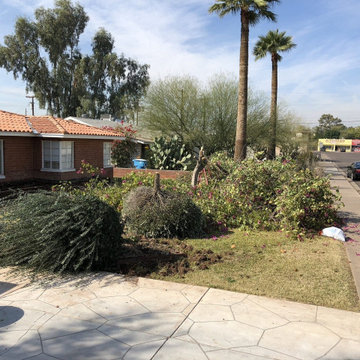 Grass-to-Desert Front Yard