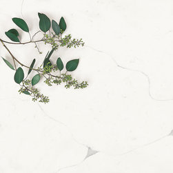 Sequel Quartz&trade; - Products
