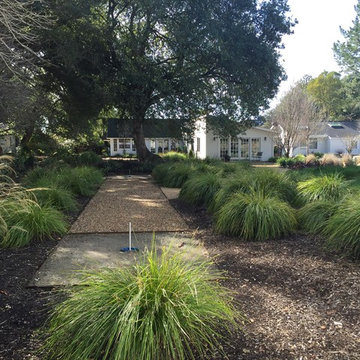 Horse shoe court