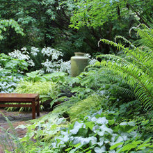 shade gardens