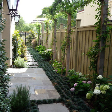 Modern Side Yard and Entrance