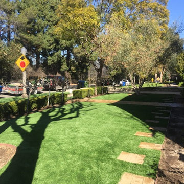 Artificial Grass Front Lawn