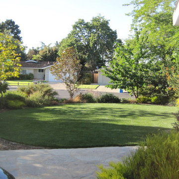 Synthetic Lawns