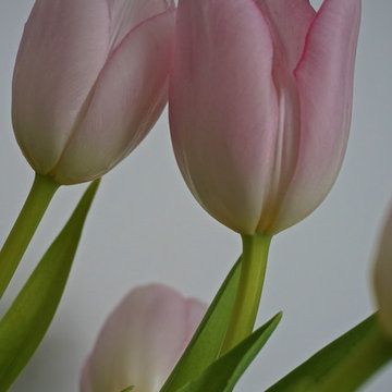Spring it on!  seasonal decor updates