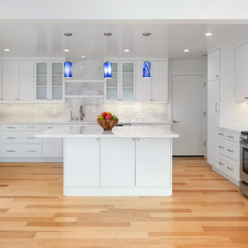San Vicente: Full Kitchen and Bathroom Renovation