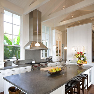 Moderne Küche mit Glasfronten, weißen Schränken und Küchengeräten aus Edelstahl in San Francisco