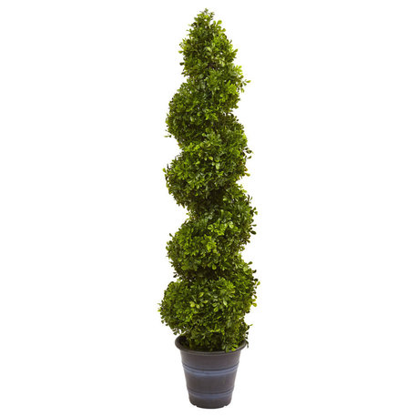 Boxwood Spiral Topiary With Planter, Indoor/Outdoor