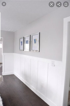 BM Balboa Mist walls, need suggestion for wainscoting