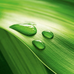 Platin Art's Deco Glass Wall Decor- Green Journey - Wallpaper
