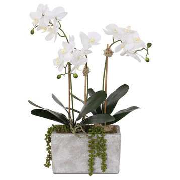 Real Touch Phalaenopsis Orchid, Leaves with String of Pearls in Wash Stone Pot