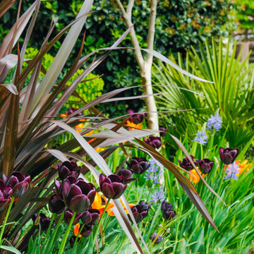 Brockley Front Garden