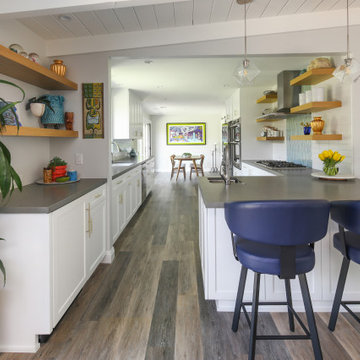 Mid-Century Modern Kitchen Remodel and Bathroom