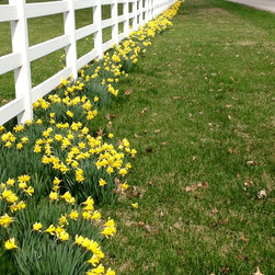 Fence Options - Products
