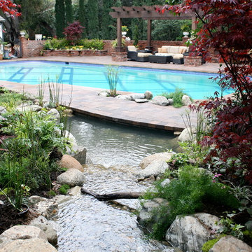 Pool and Pond Duo